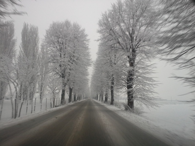 Allerta meteo 